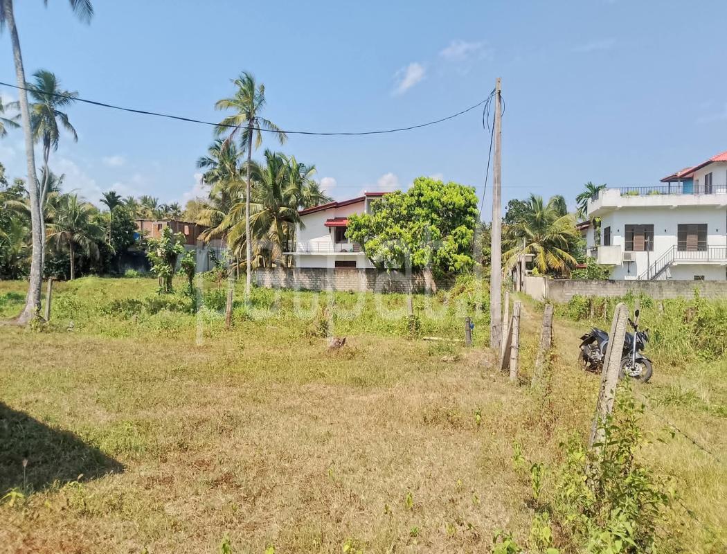 Agricultural Land for Sale in Kurunegala