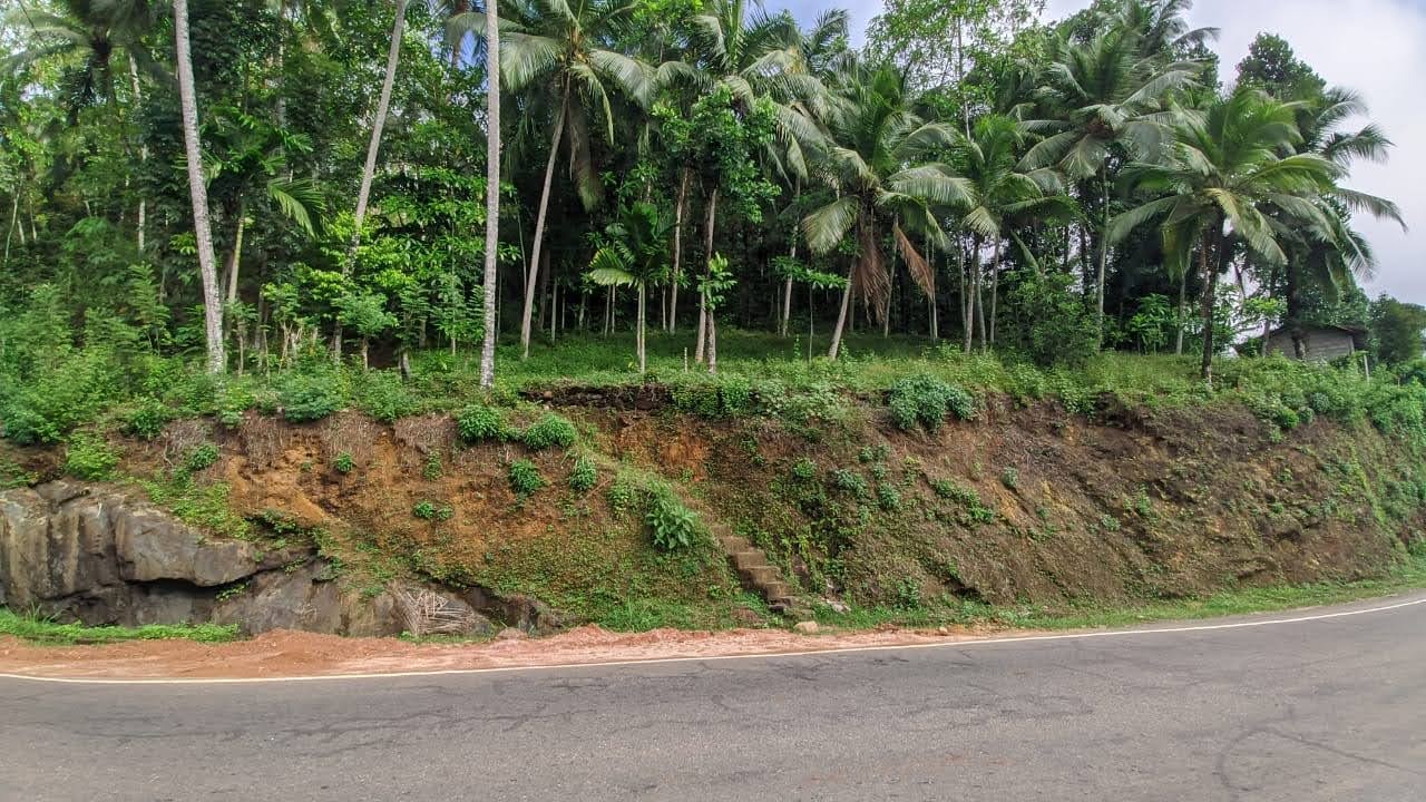 Commercial Land for Sale in Avissawella