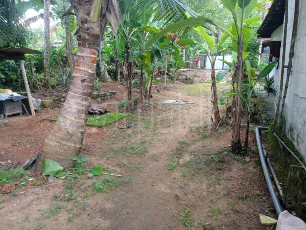 House for Sale in Horana
