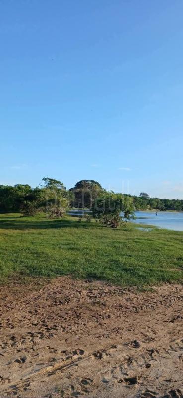 Residential Land for Sale in Tissamaharama