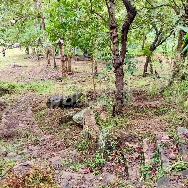 Agricultural Land for Sale in Maho