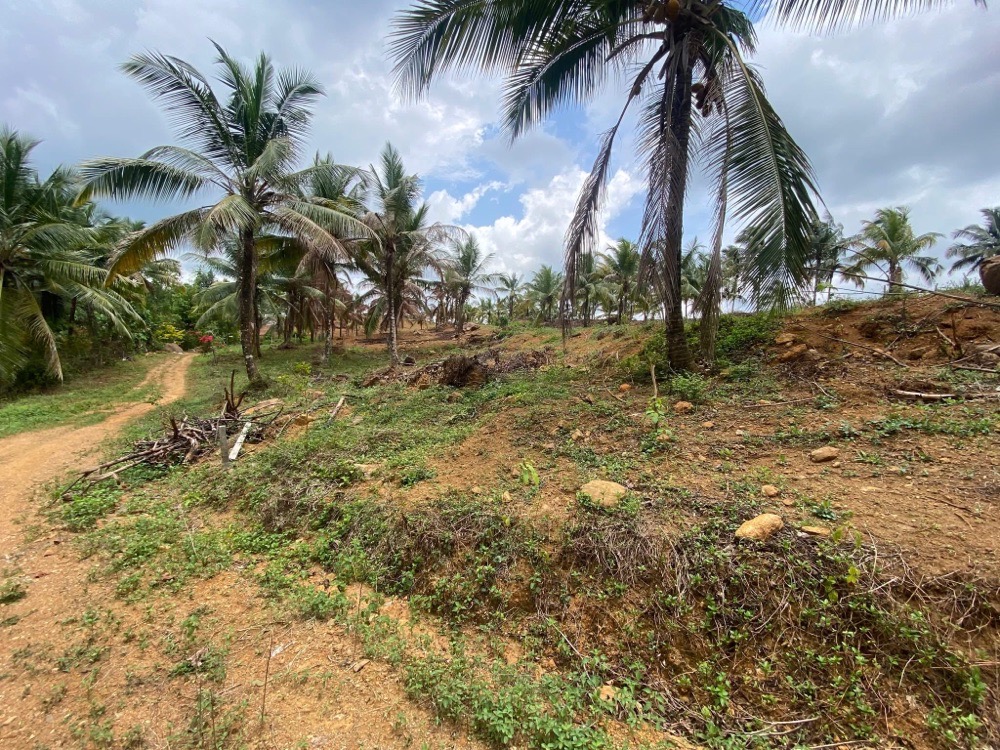 Commercial Land for Sale in Padukka