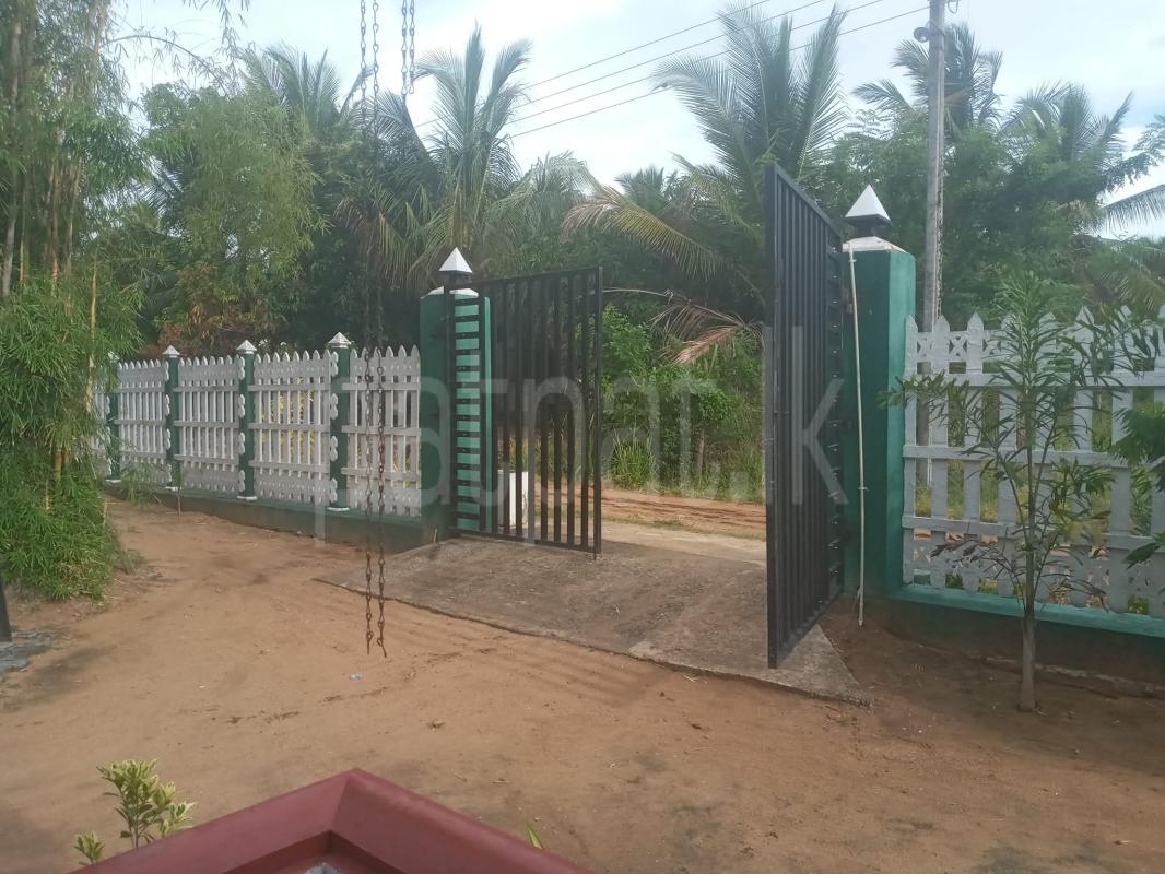 Agricultural Land for Sale in Hiripitiya