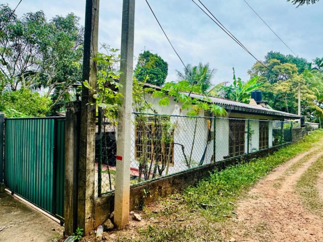 House for Sale in Delgoda ads-image-1