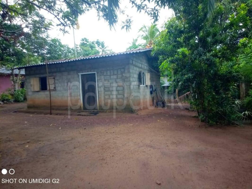 House for Sale in Divulapitiya