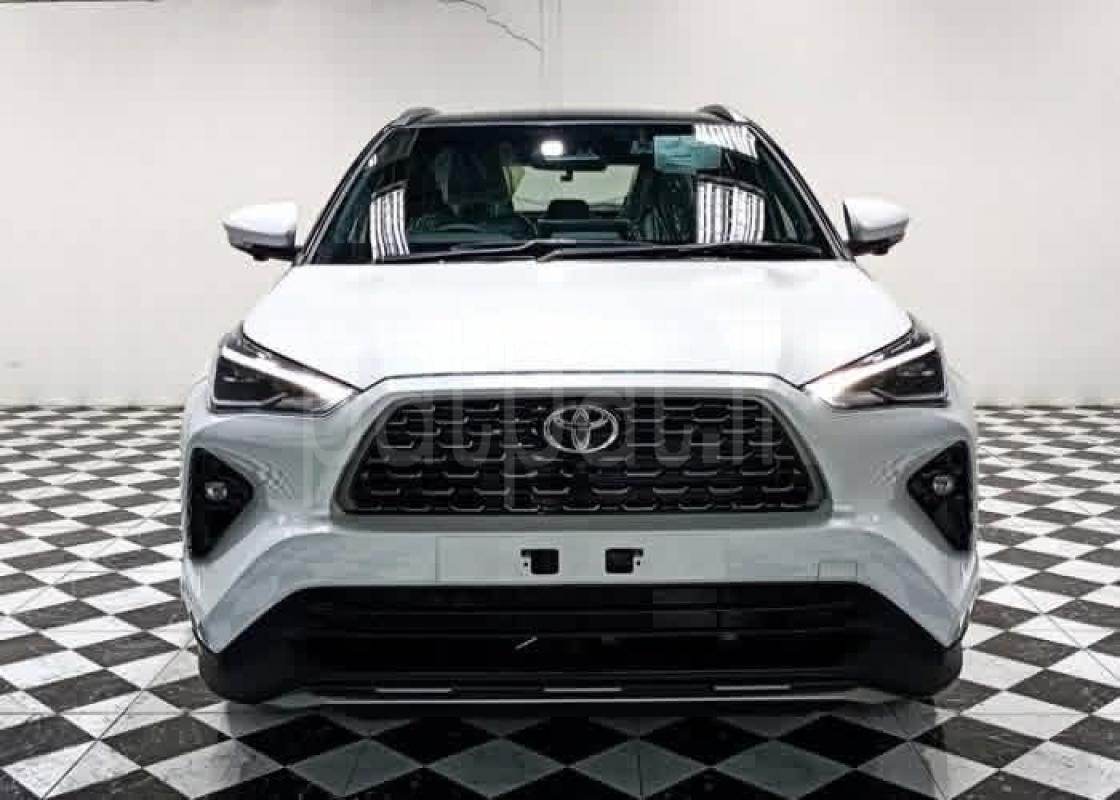 Advertisement image 1