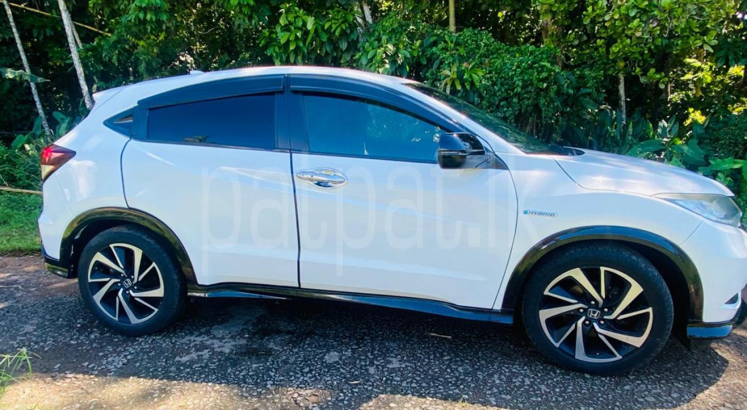 Advertisement image 1