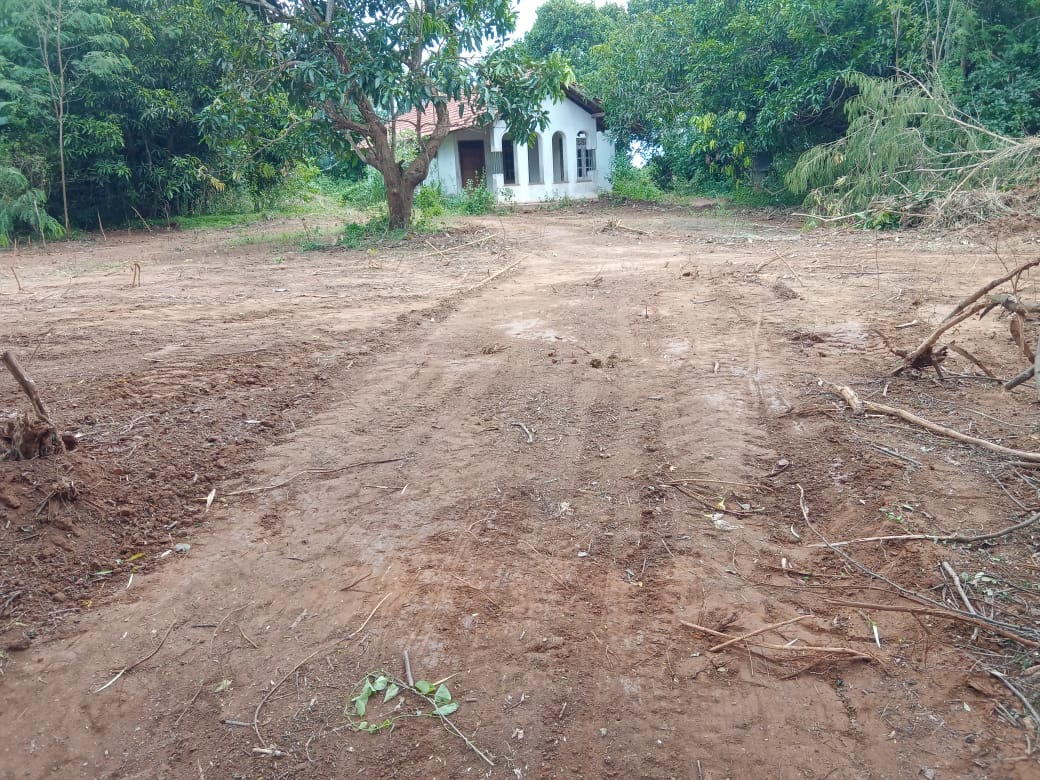 Agricultural Land for Sale in Hungama