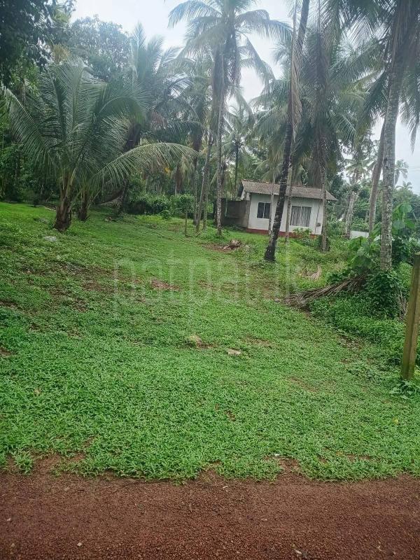 Residential Land for Sale in Kadawatha