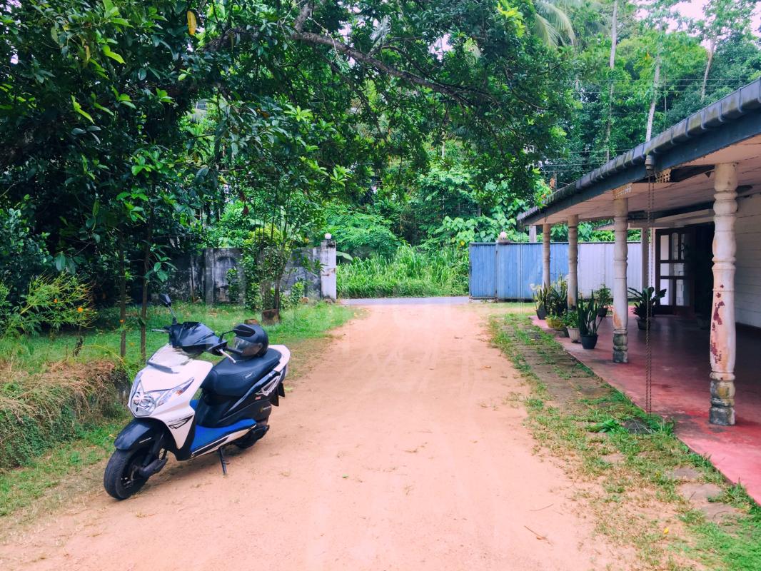 Advertisement image 5