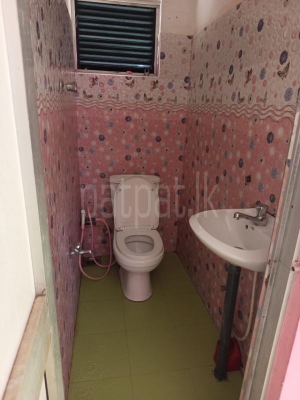 Room for Rent in Ekala