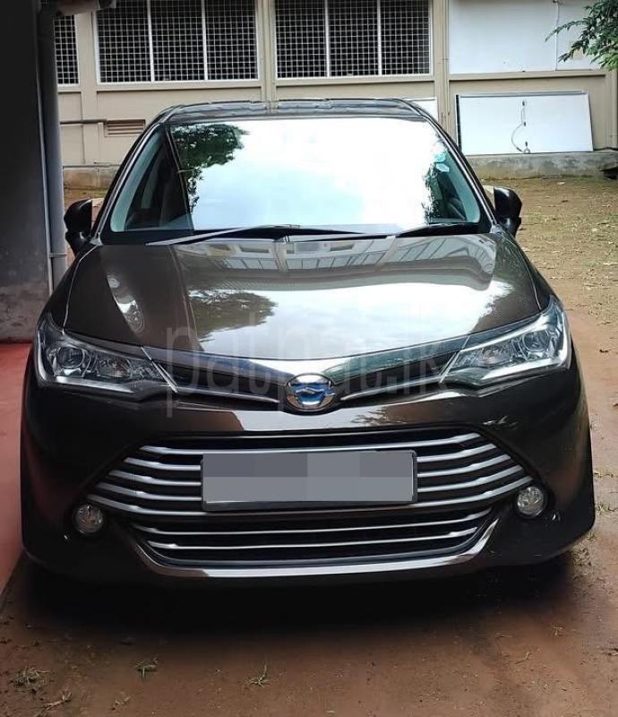 Advertisement image 1