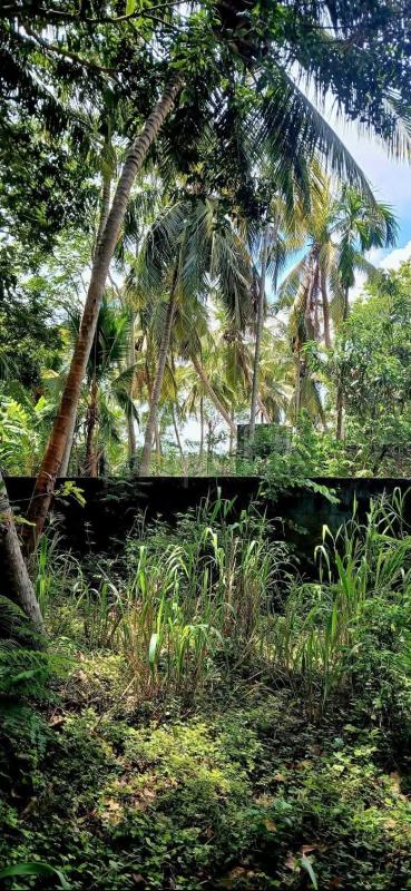 Residential Land for Sale in Sella Kataragama