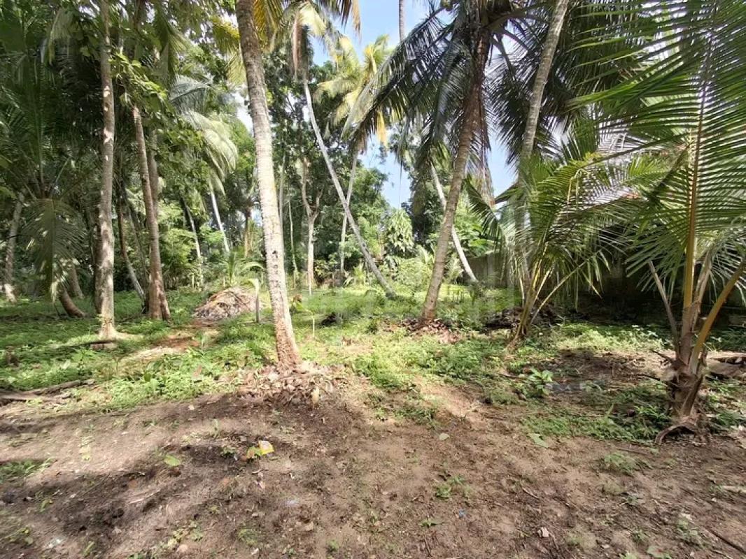 Commercial Land for Sale in Panadura