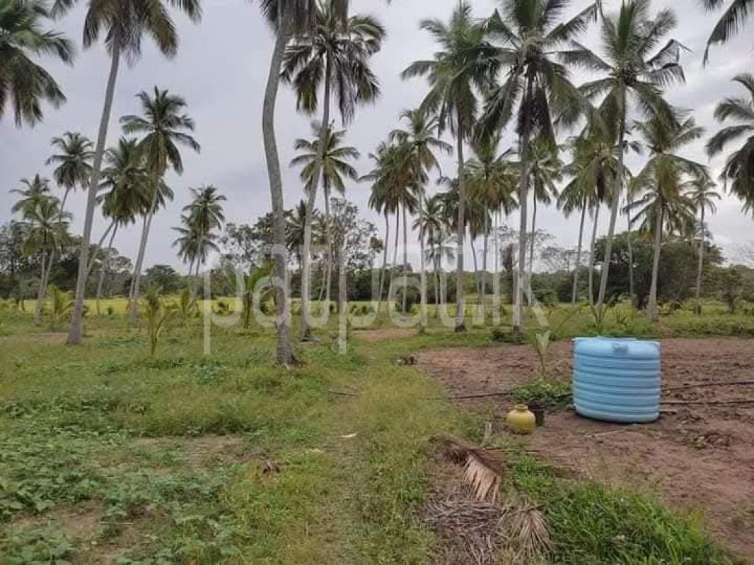 Agricultural Land for Sale in Wariyapola