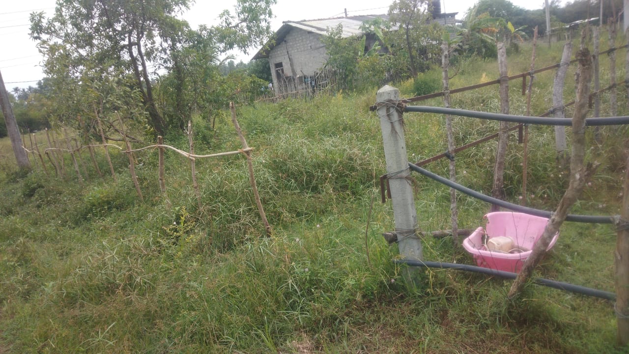 Residential Land for Sale in Bingiriya