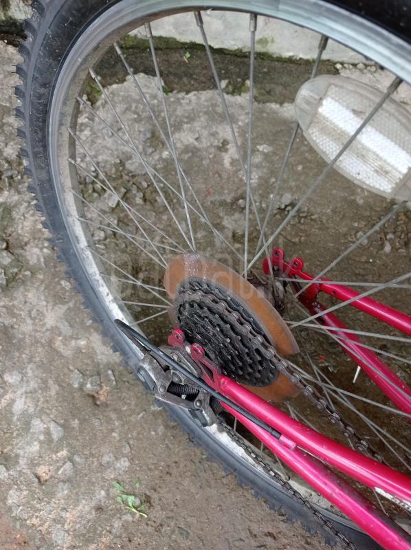 Advertisement image 2