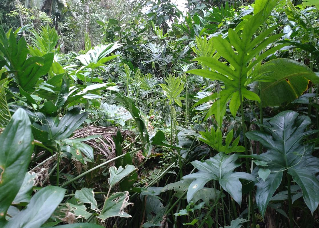 Advertisement image 3