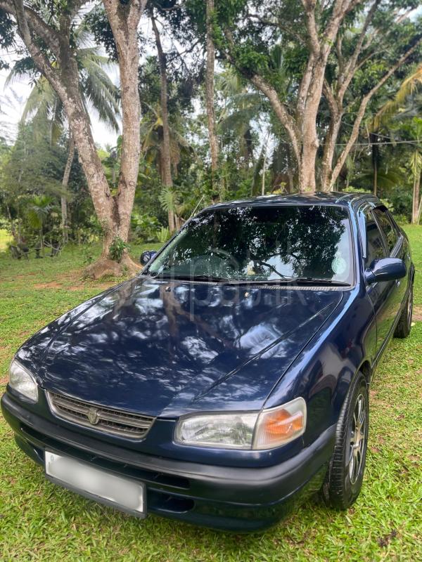 Toyota Corolla 1996 - பயன்படுத்தப்பட்டது கார் sale in Sri Lanka - patpat.lk