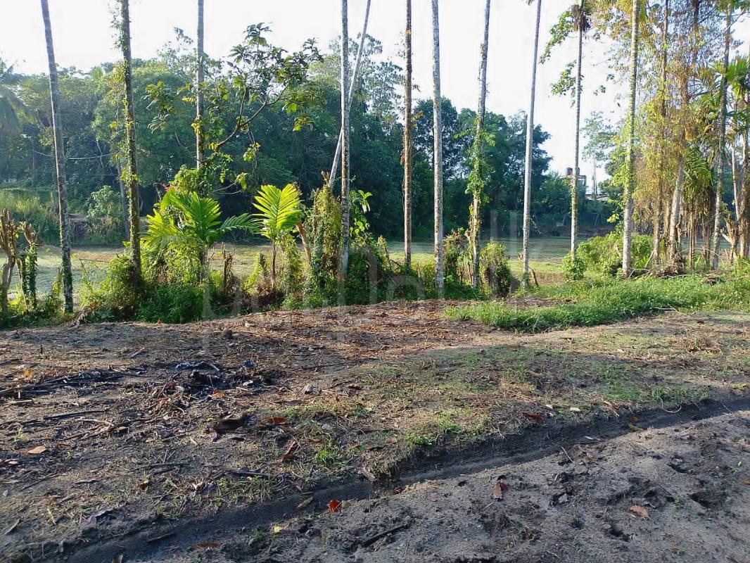 Commercial Land for Sale in Horana