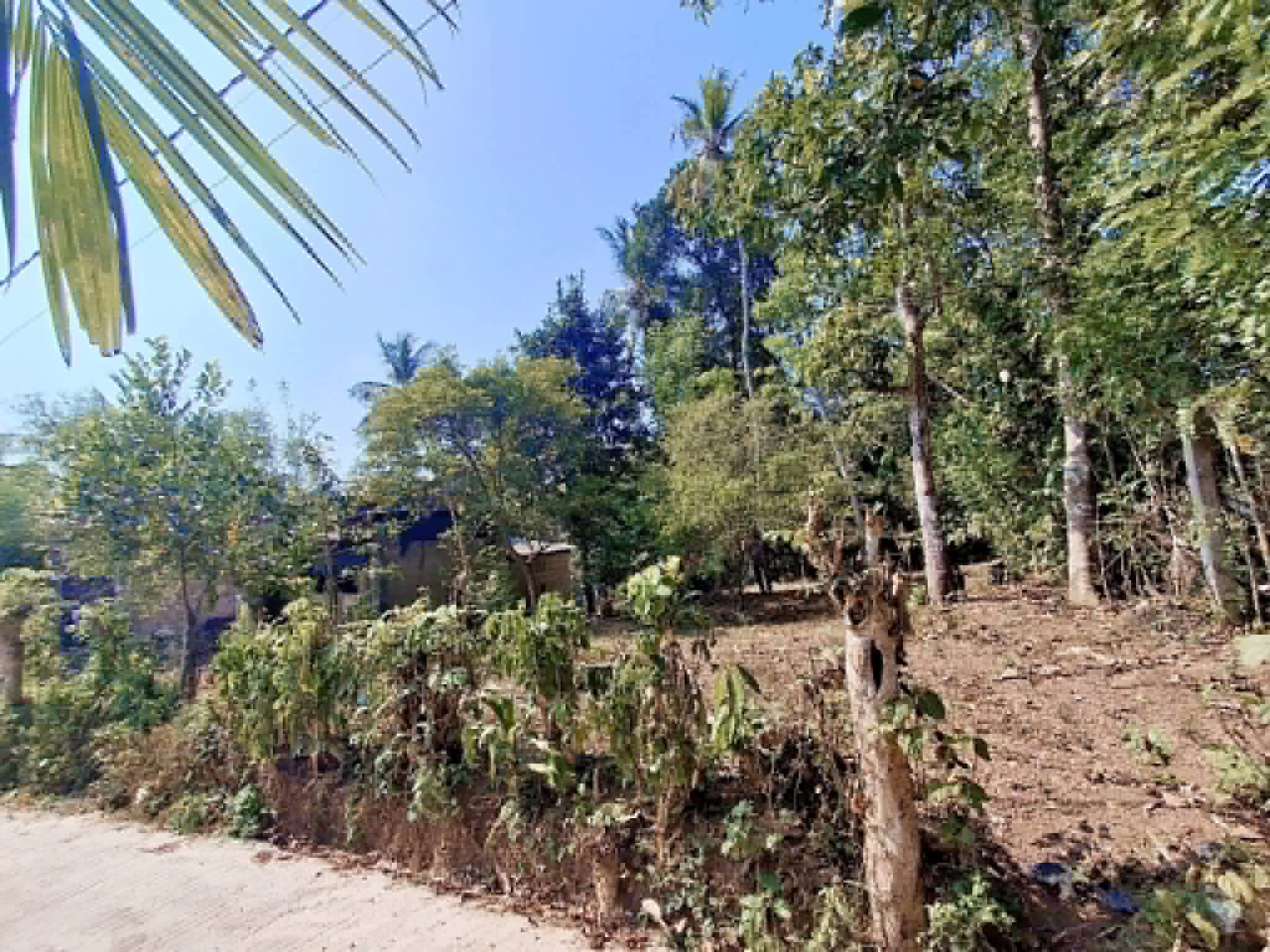 Agricultural Land for Sale in Panadura