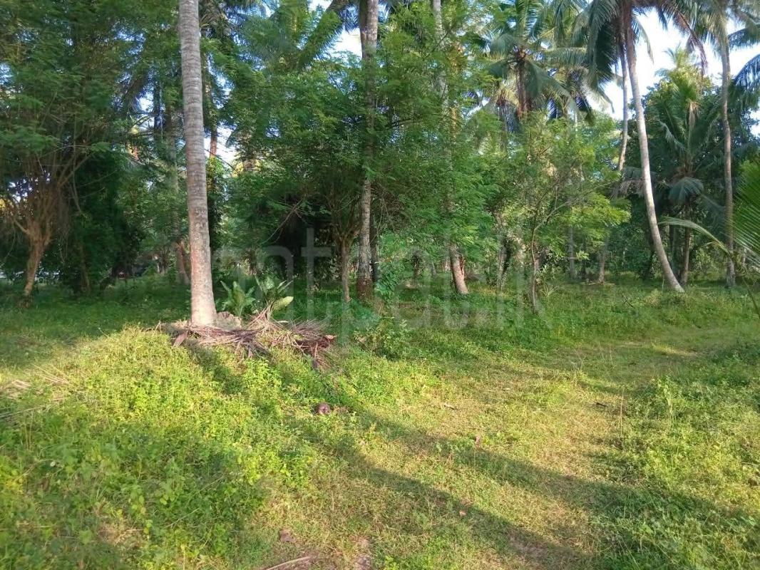 Agricultural Land for Sale in Badalgama