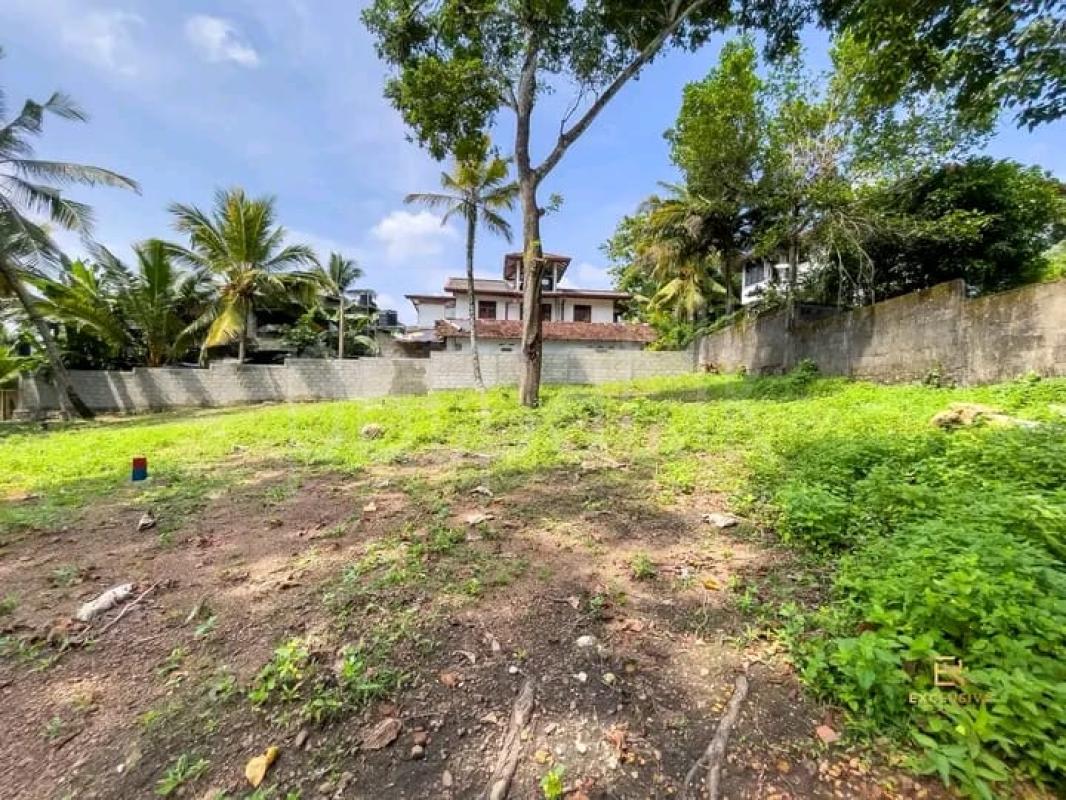 Residential Land for Sale in Talawatugoda ads-image-1