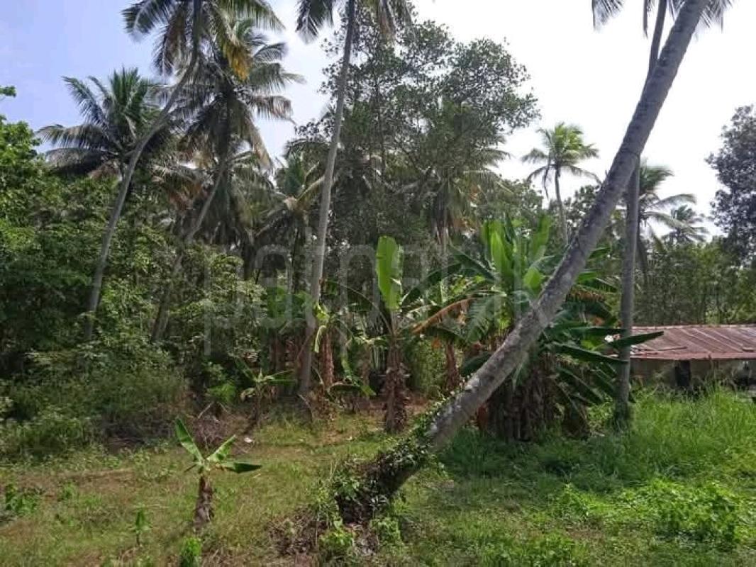 Commercial Land for Sale in Kurunegala