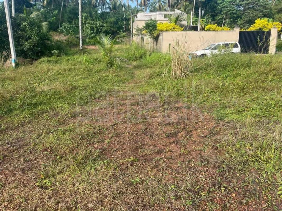 Residential Land for Sale in Gampaha