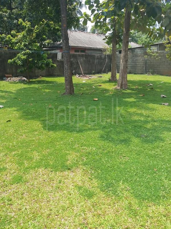 Residential Land for Sale in Narahenpita (Colombo 05)