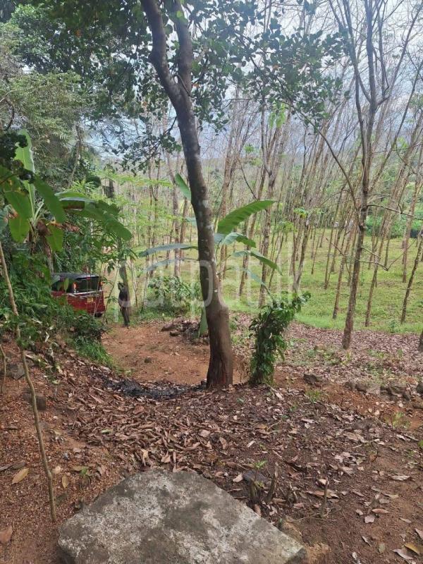 House for Sale in Hanwella