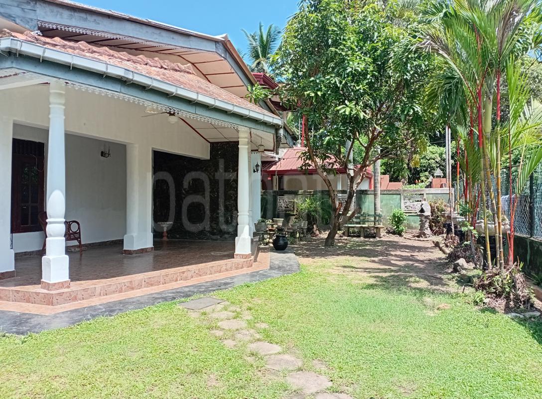 House for Rent in Ja-Ela
