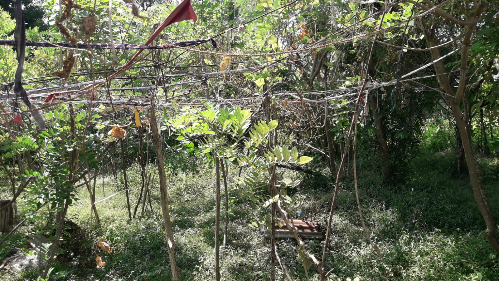 Residential Land for Sale in Boralesgamuwa