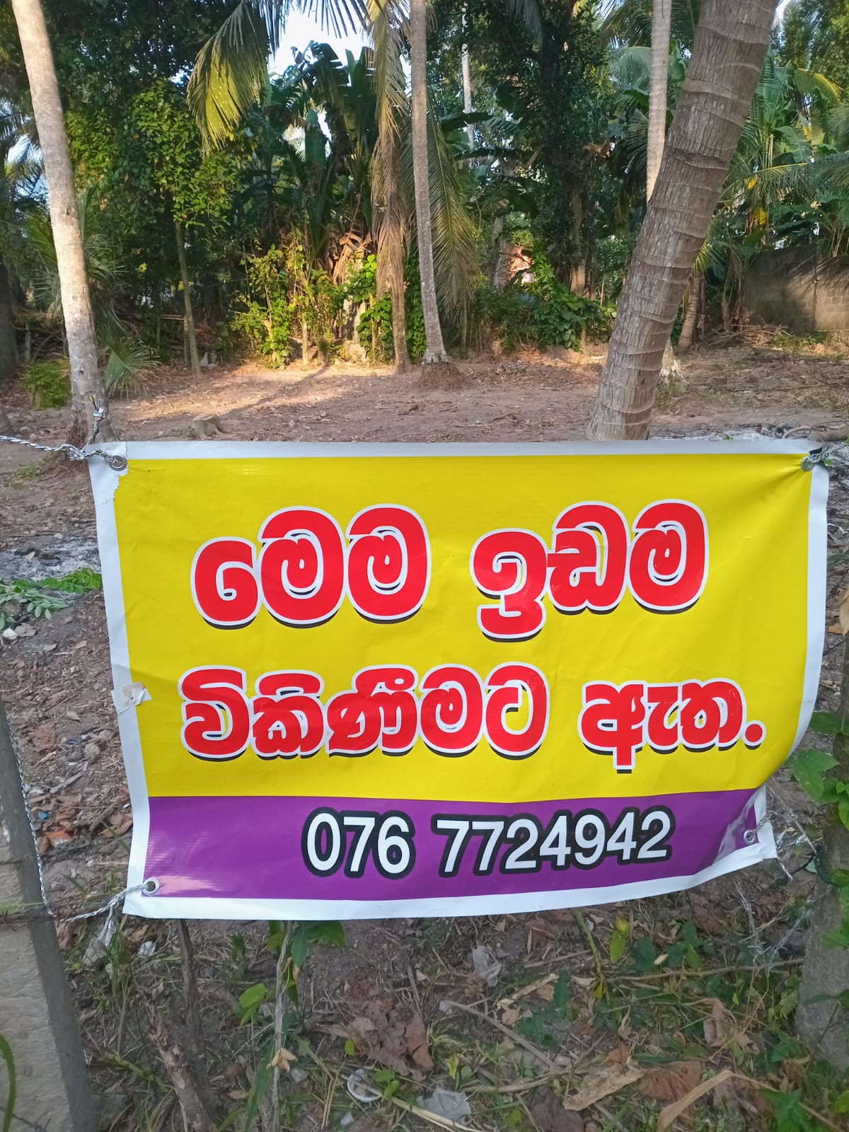 Advertisement image 1