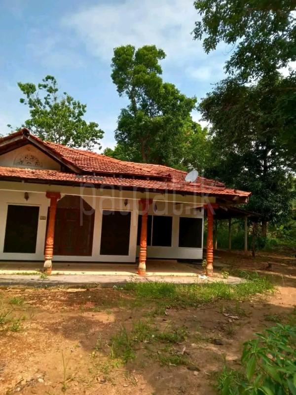 House for Sale in Ambanpola