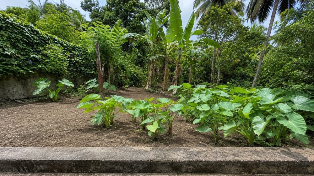 Residential Land for Sale in Talawatugoda