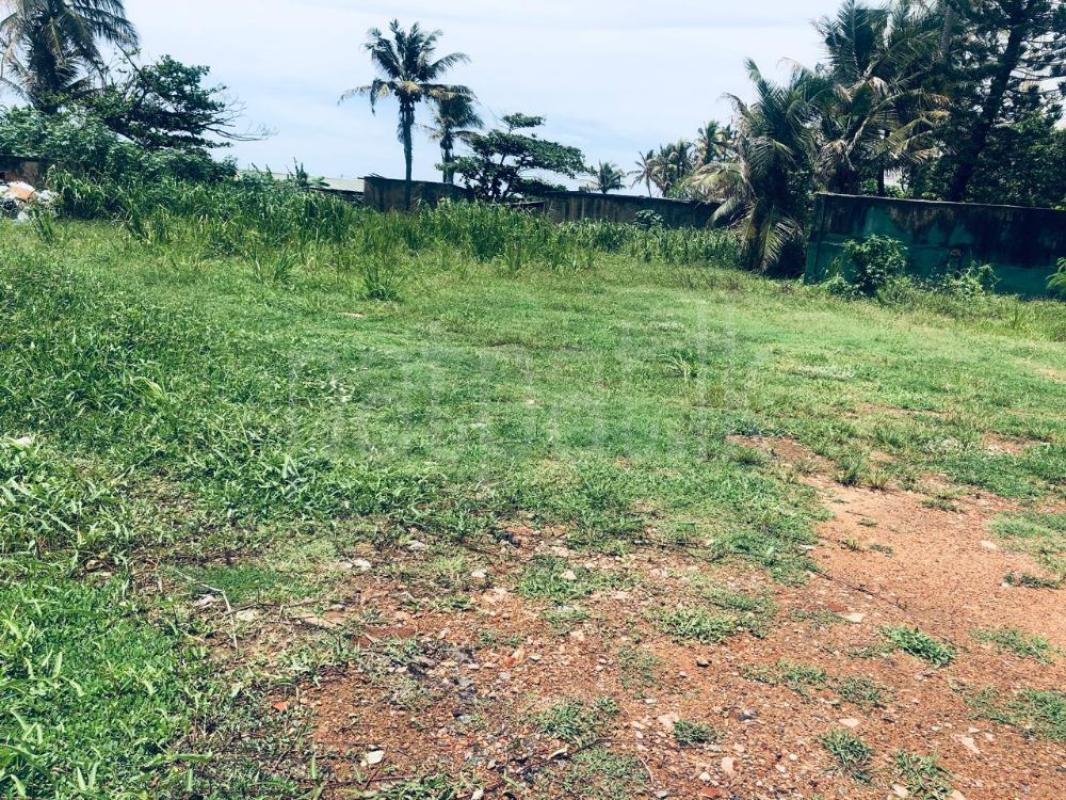 Commercial Land for Sale in Mount Lavinia ads-image-1