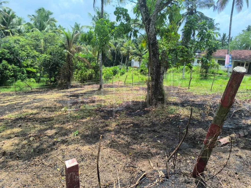 Agricultural Land for Sale in Ekala