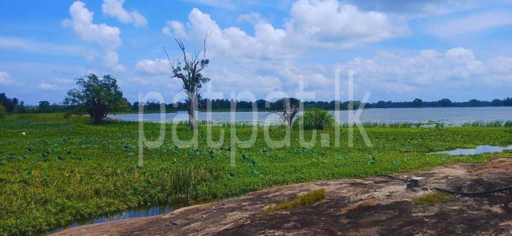 Residential Land for Sale in Kataragama