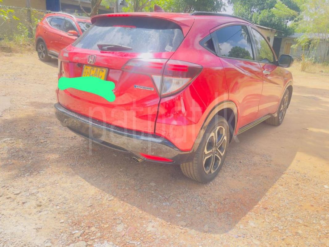 Advertisement image 3