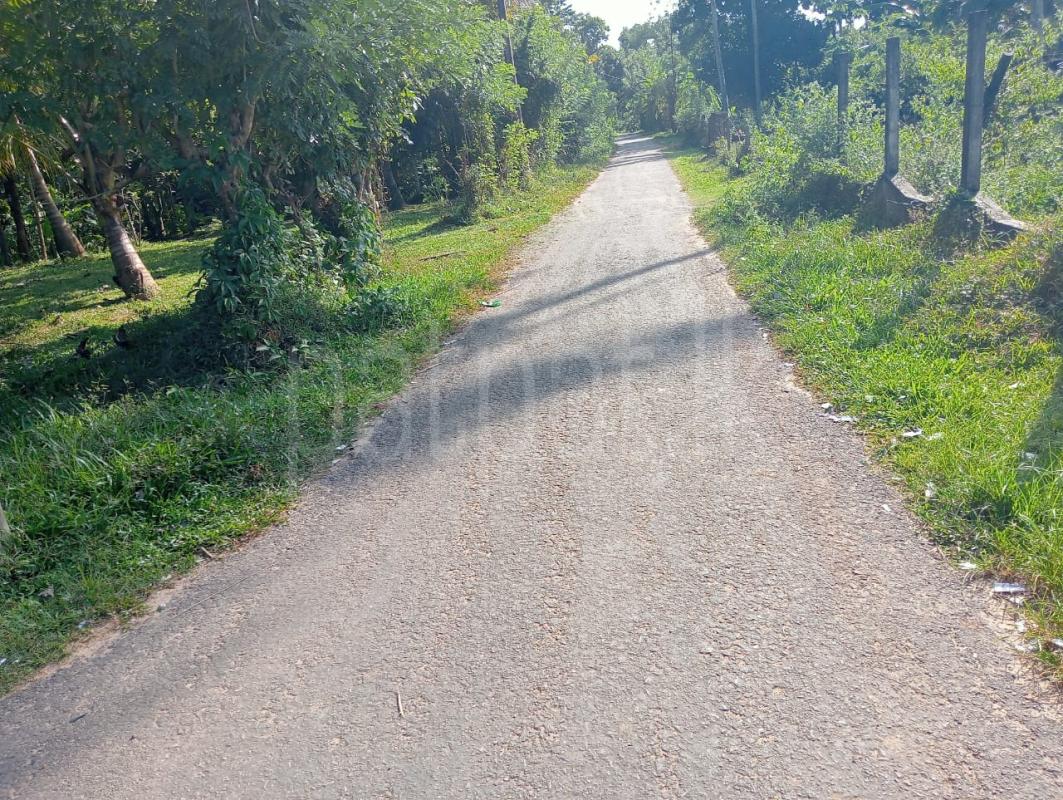 Residential Land for Sale in Katana