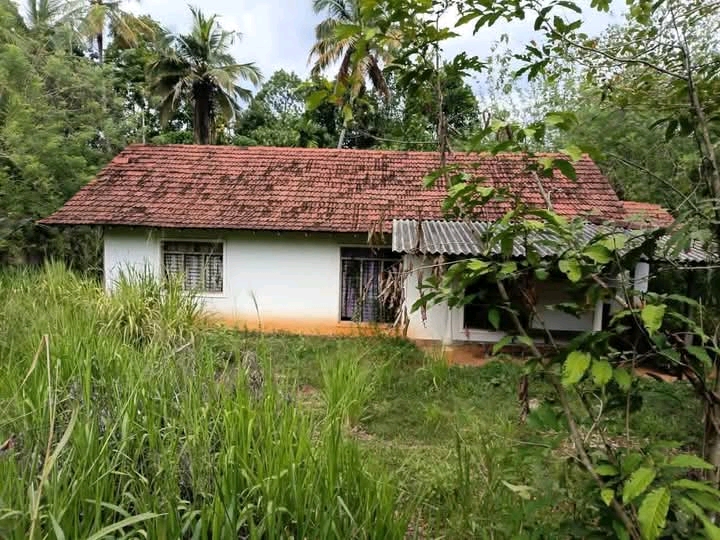 Residential Land for Sale in Narammala