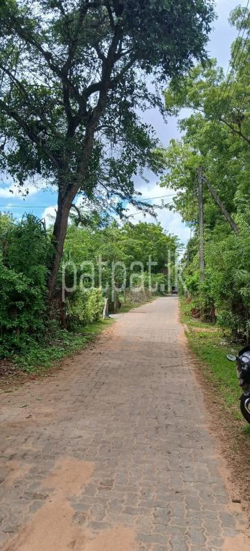 Residential Land for Sale in Kataragama