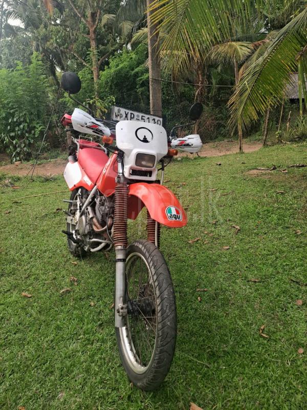 Advertisement image 1