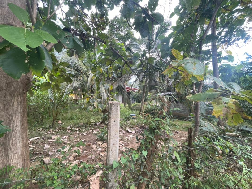 Commercial Land for Sale in Kataragama