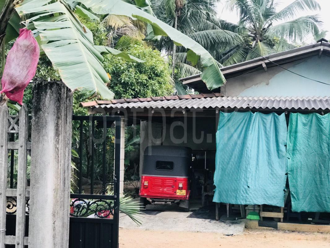 House for Sale in Homagama ads-image-1