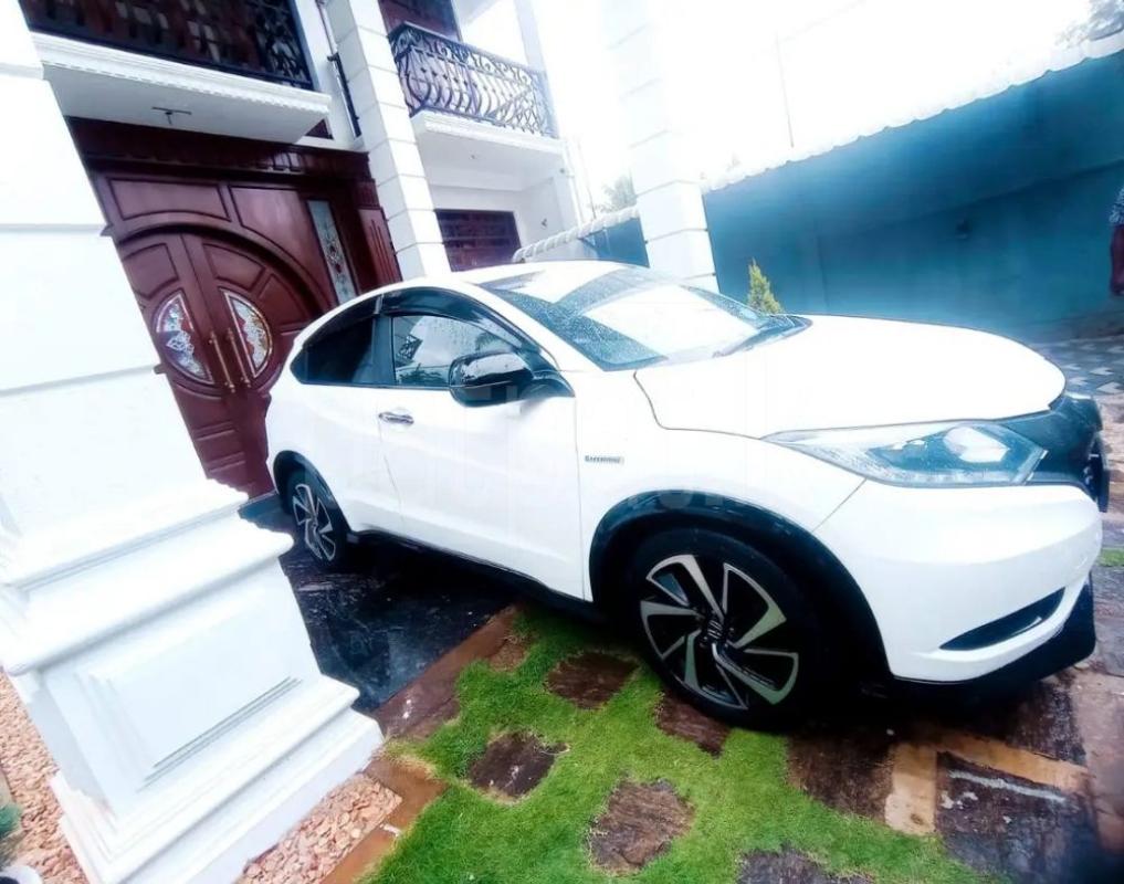 Advertisement image 6