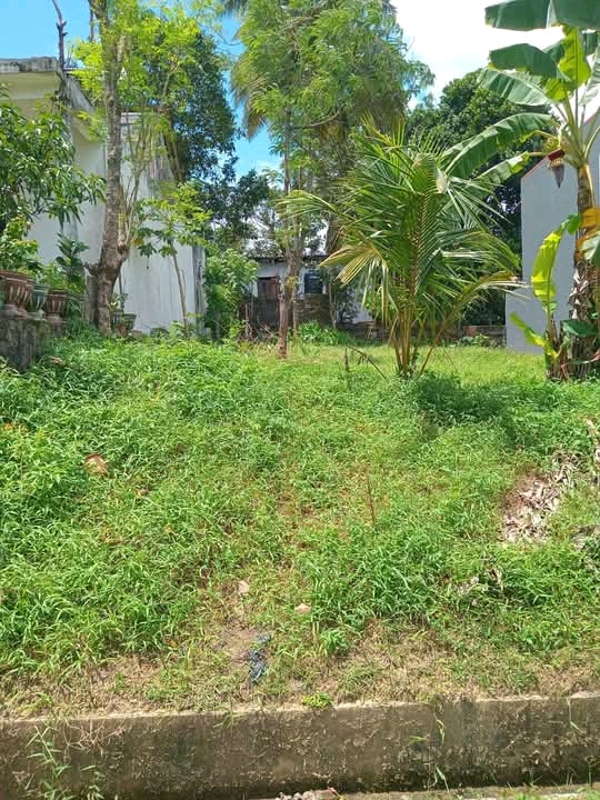 Commercial Land for Sale in Kiriwattuduwa