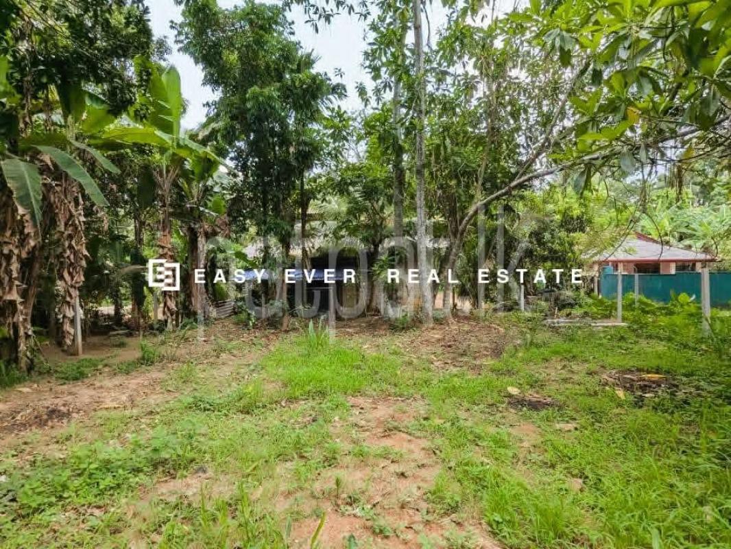 Residential Land for Sale in Veyangoda