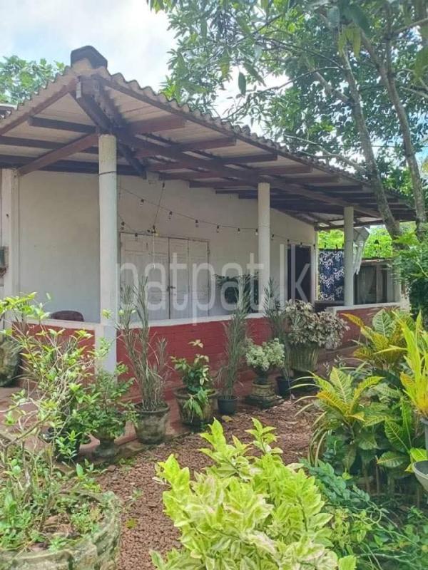 premium-listing-image